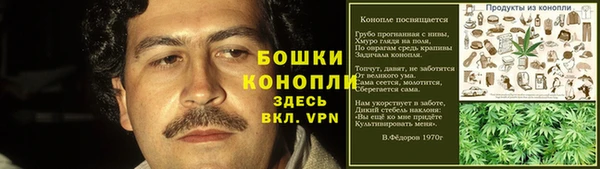 ГАЛЛЮЦИНОГЕННЫЕ ГРИБЫ Арсеньев