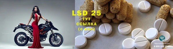 дмт Аркадак