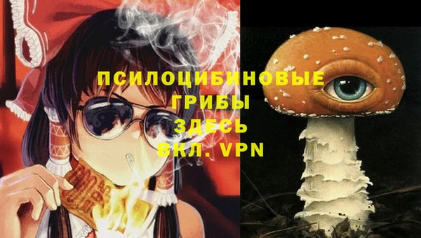 кокс Алзамай