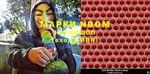 дмт Аркадак