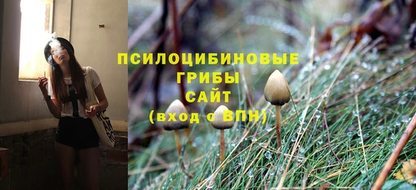 крисы Снежногорск