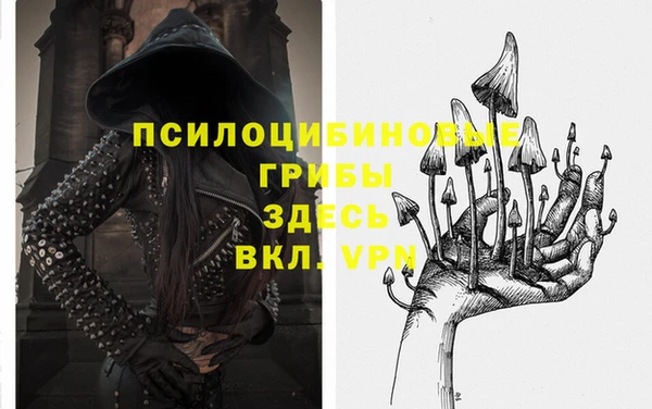 дмт Аркадак